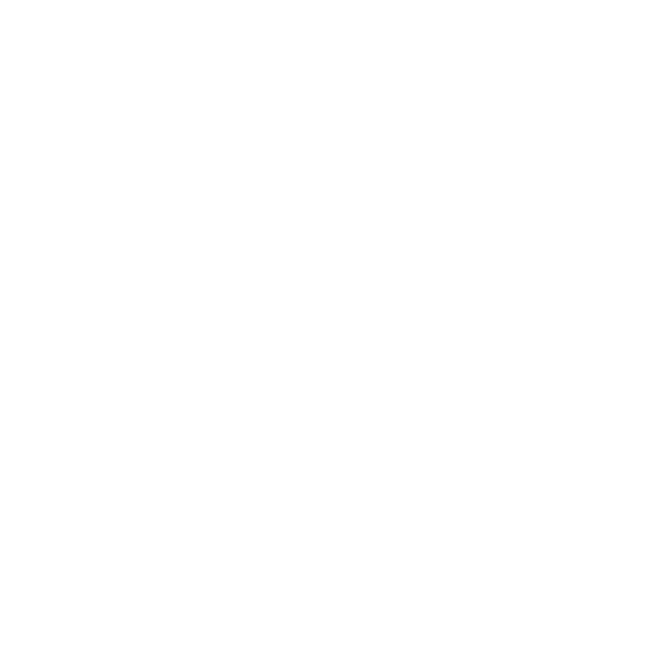 North American Technician Excellence White Logo